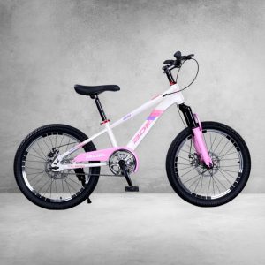 BICICLETA BDF 600 ARO 20